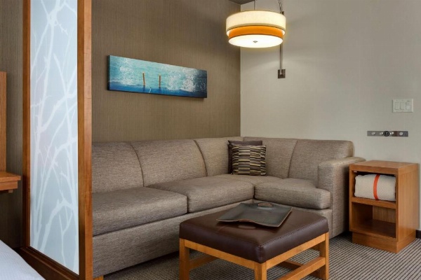 Hyatt Place Chicago/Downtown - The Loop image 78